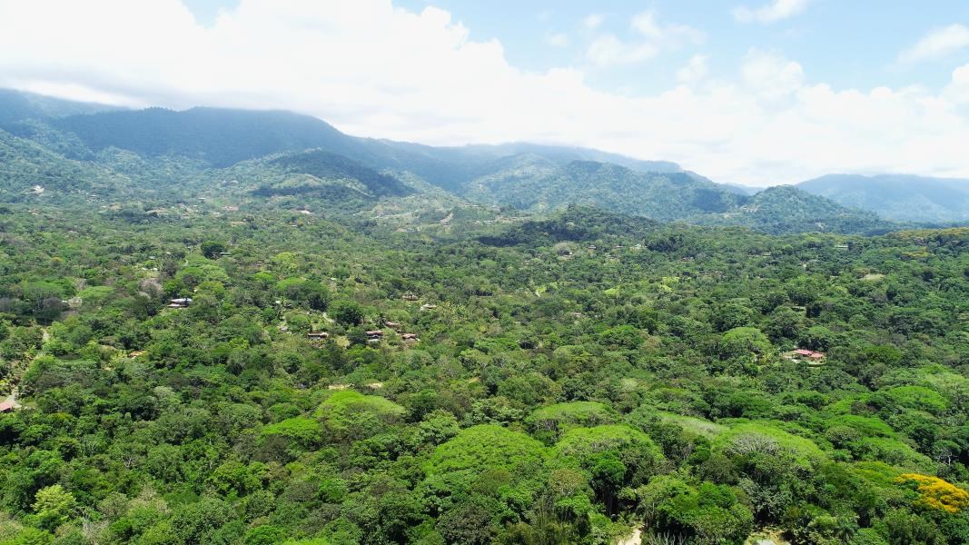 Over One Acre Attractive Lot on the Popular PEREZOSO Road